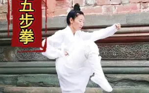 下载视频: 五步拳