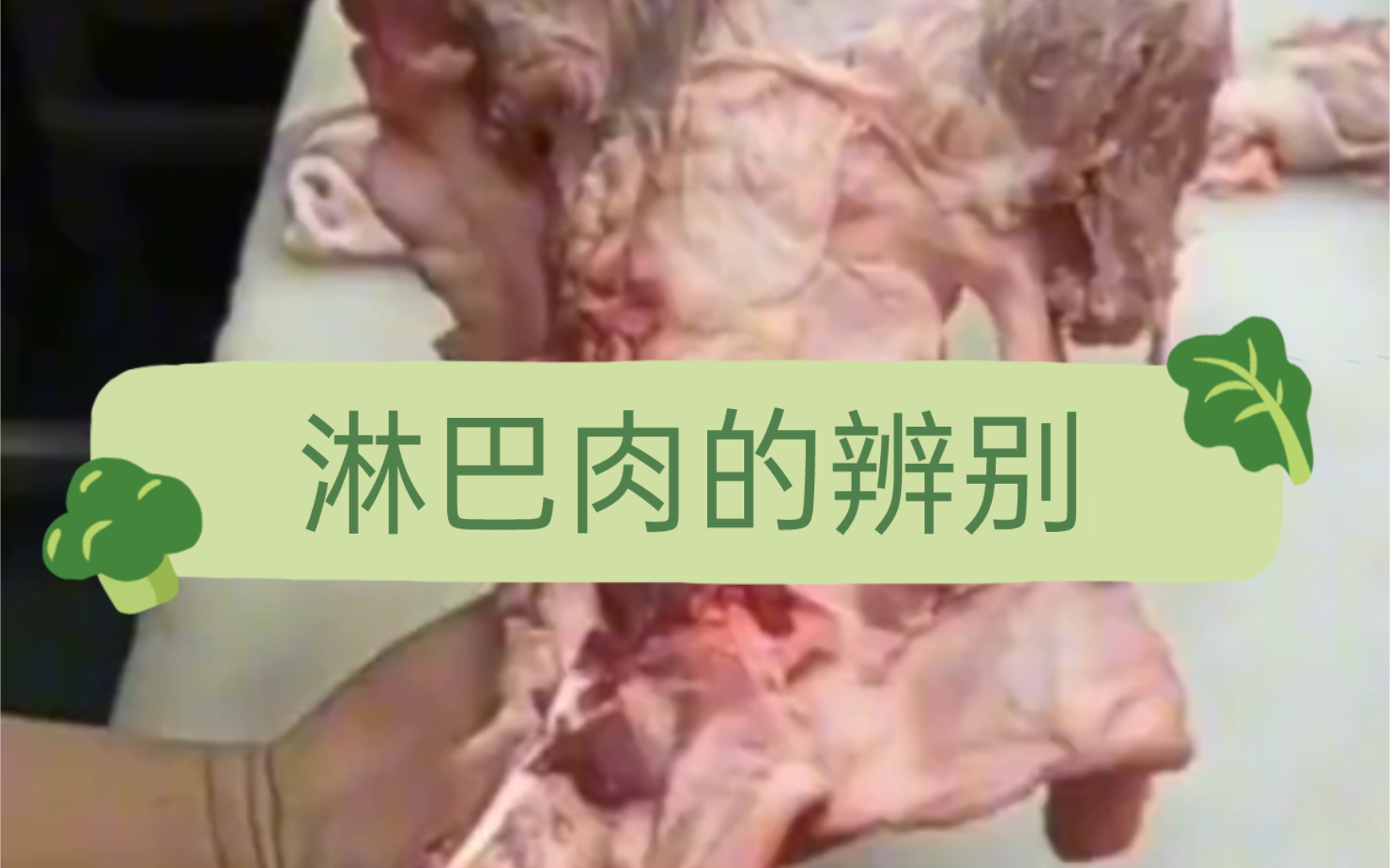 淋巴肉,别吃.哔哩哔哩bilibili