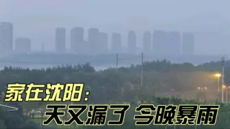 Télécharger la video: 家在沈阳：天又漏了，今晚暴雨