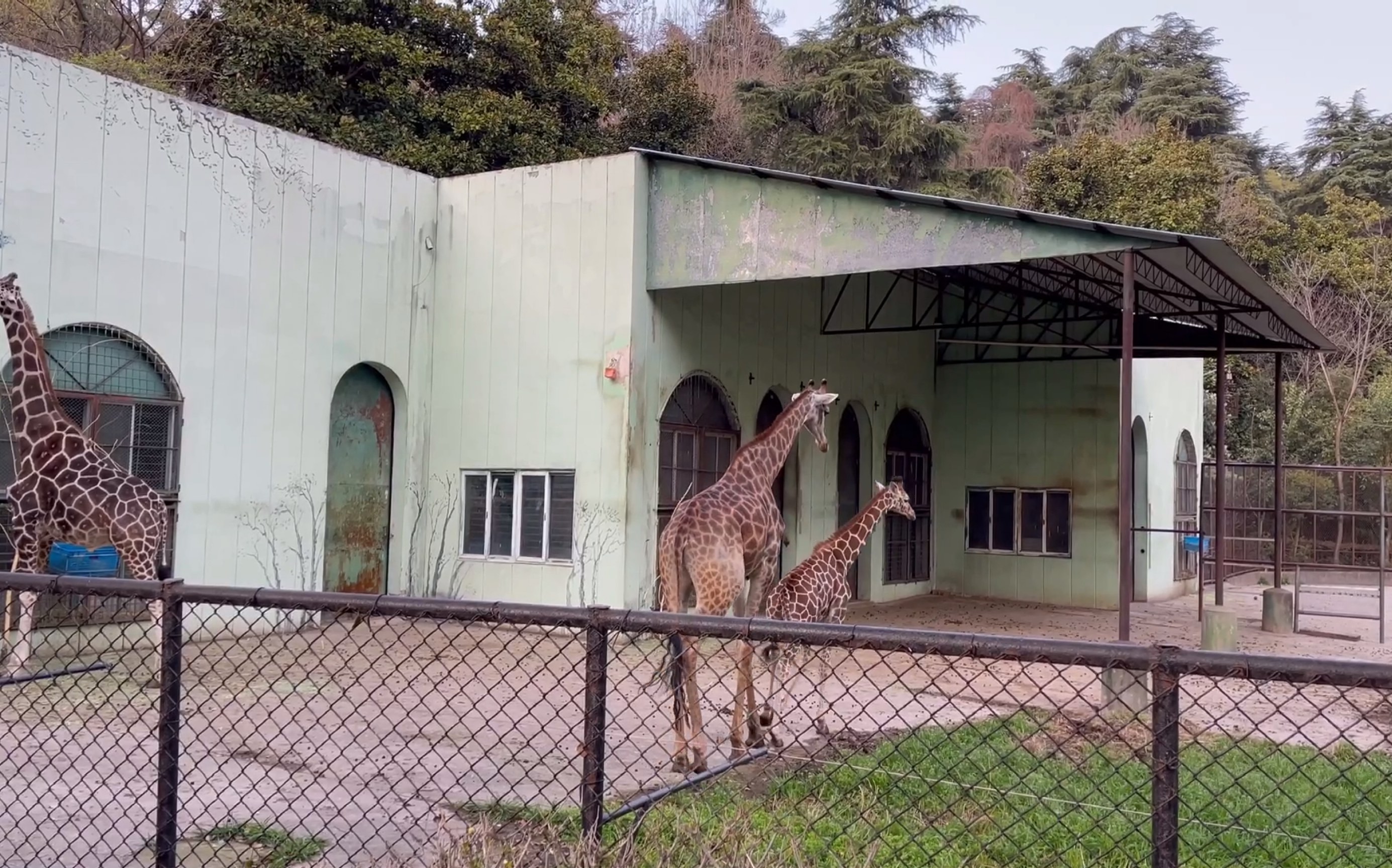 小红山动物园一日游