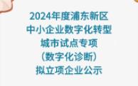 2024年度浦东新区中小企业数字化转型城市试点专项(数字化诊断)拟立项企业公示哔哩哔哩bilibili