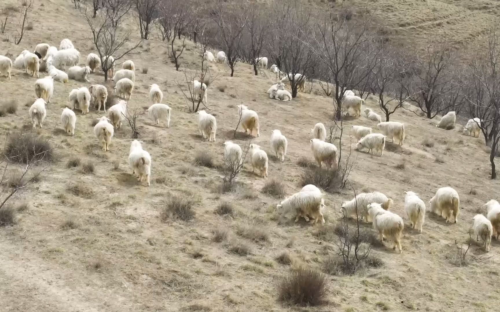 [图]就恋这片黄土地