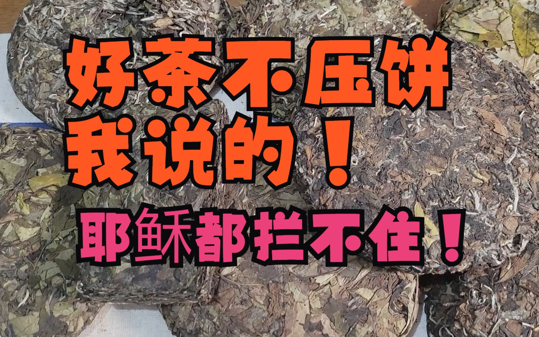 [图]【福鼎白茶】好茶不压饼我说的耶稣都拦不住！