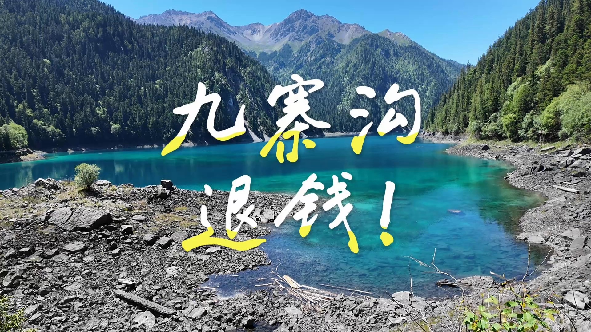 九寨沟，退钱！我花90块钱挤公交我有病你有吗