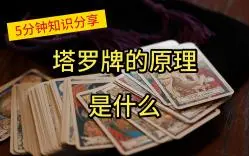 塔罗原理-哔哩哔哩_Bilibili
