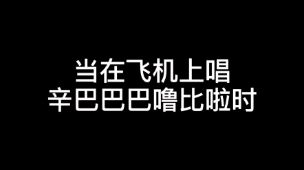 [图]当你在飞机上唱辛巴巴巴噜比啦时