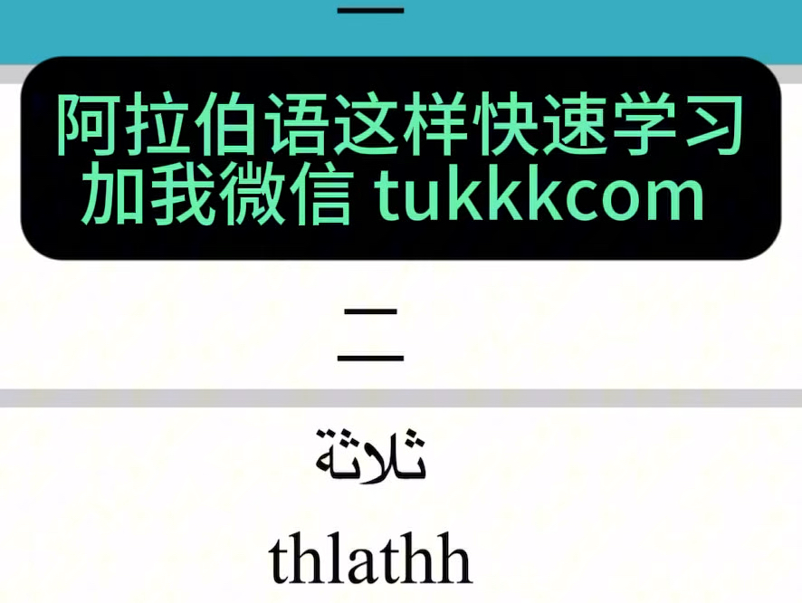 阿拉伯语这样快速学习哔哩哔哩bilibili