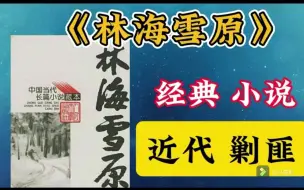 Video herunterladen: 【评书】袁阔成 《林海雪原>全集