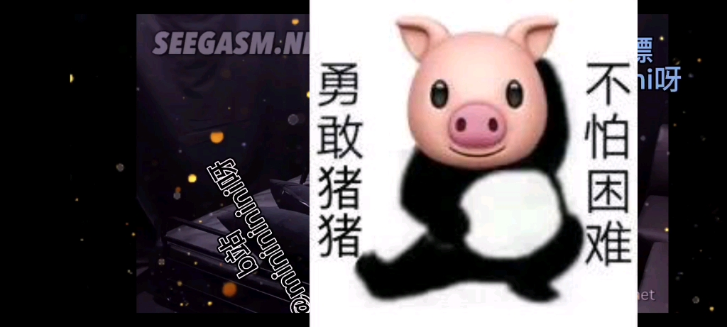 seegasm——love is love切拜切拜让我推我的cp勇敢猪猪,不怕困难!