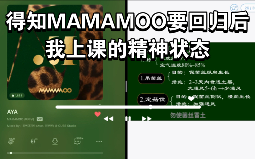 【MAMAMOO】木粉精神状态一览 | 回归大发!!!!!哔哩哔哩bilibili