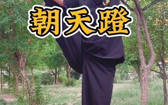 基本功练习朝天蹬哔哩哔哩bilibili