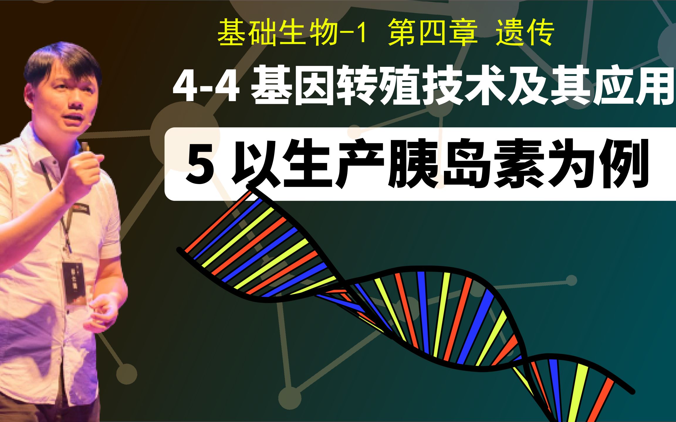 基础生物学44.5 以生产胰岛素为例哔哩哔哩bilibili