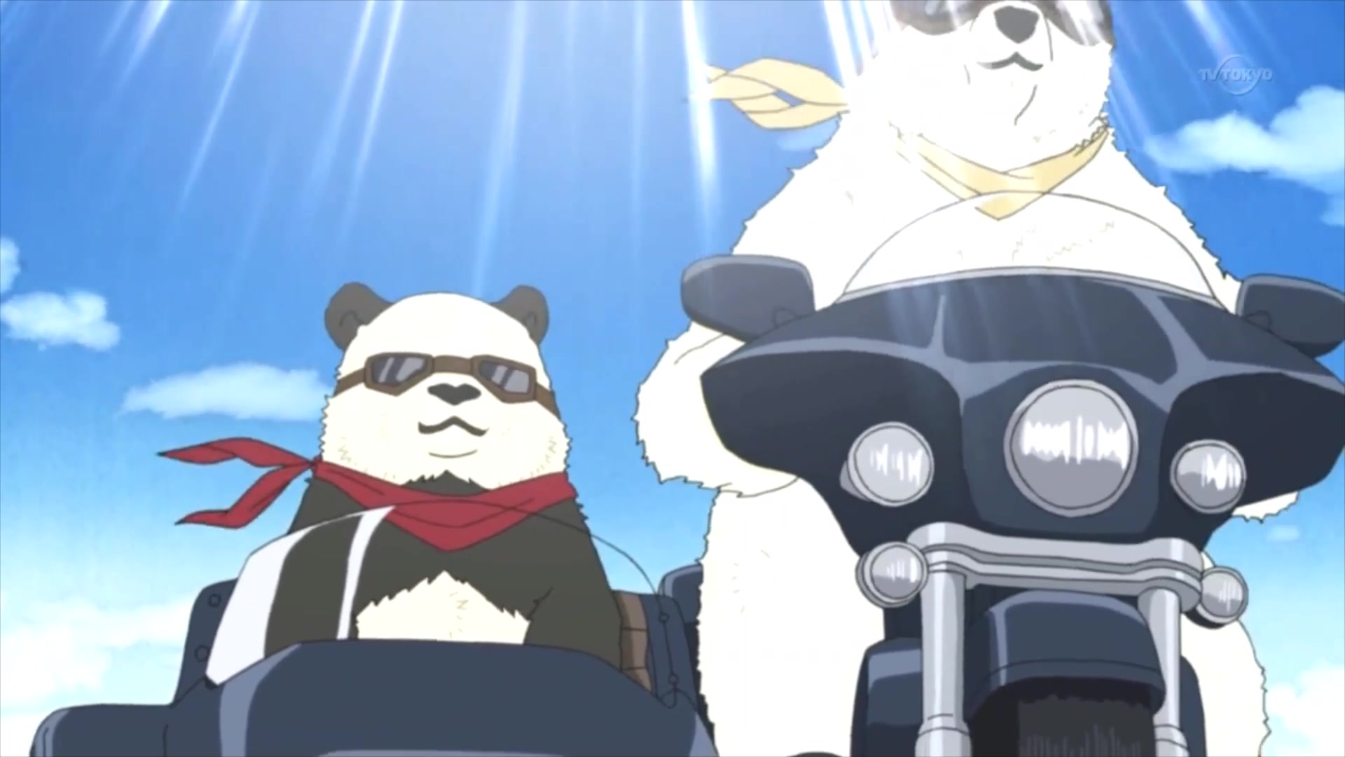 【白熊咖啡厅】萌萌胖达君的狂野 理想与现实的巨大反差萌!