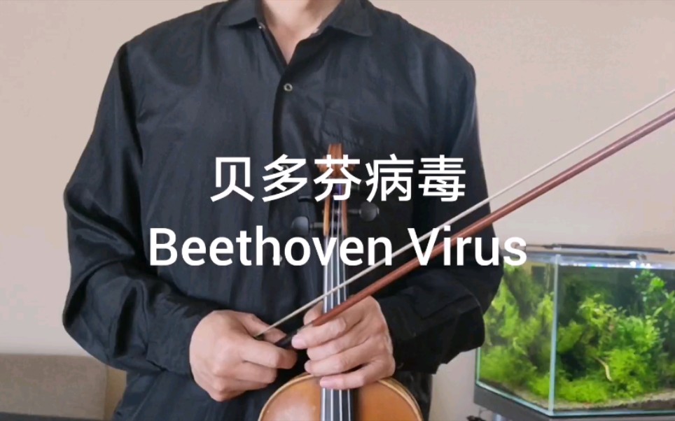 [图]贝多芬病毒（Beethoven Virus）