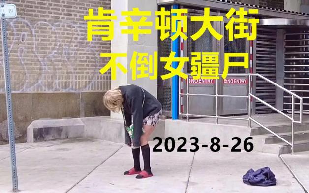 肯辛顿大街不倒疆尸20230826哔哩哔哩bilibili