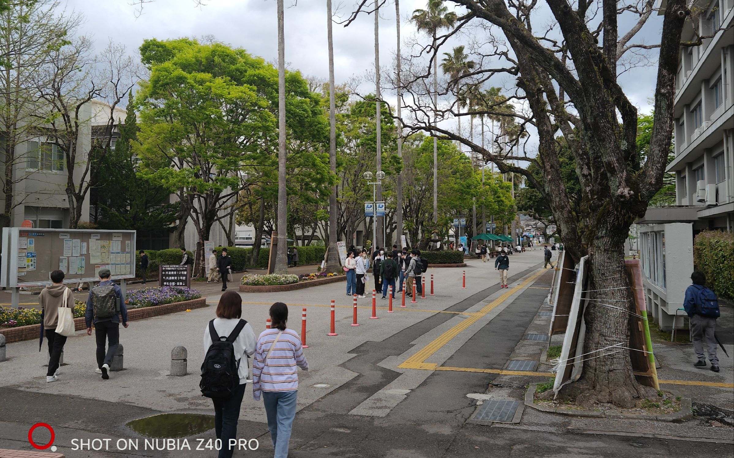 高知大学qs图片