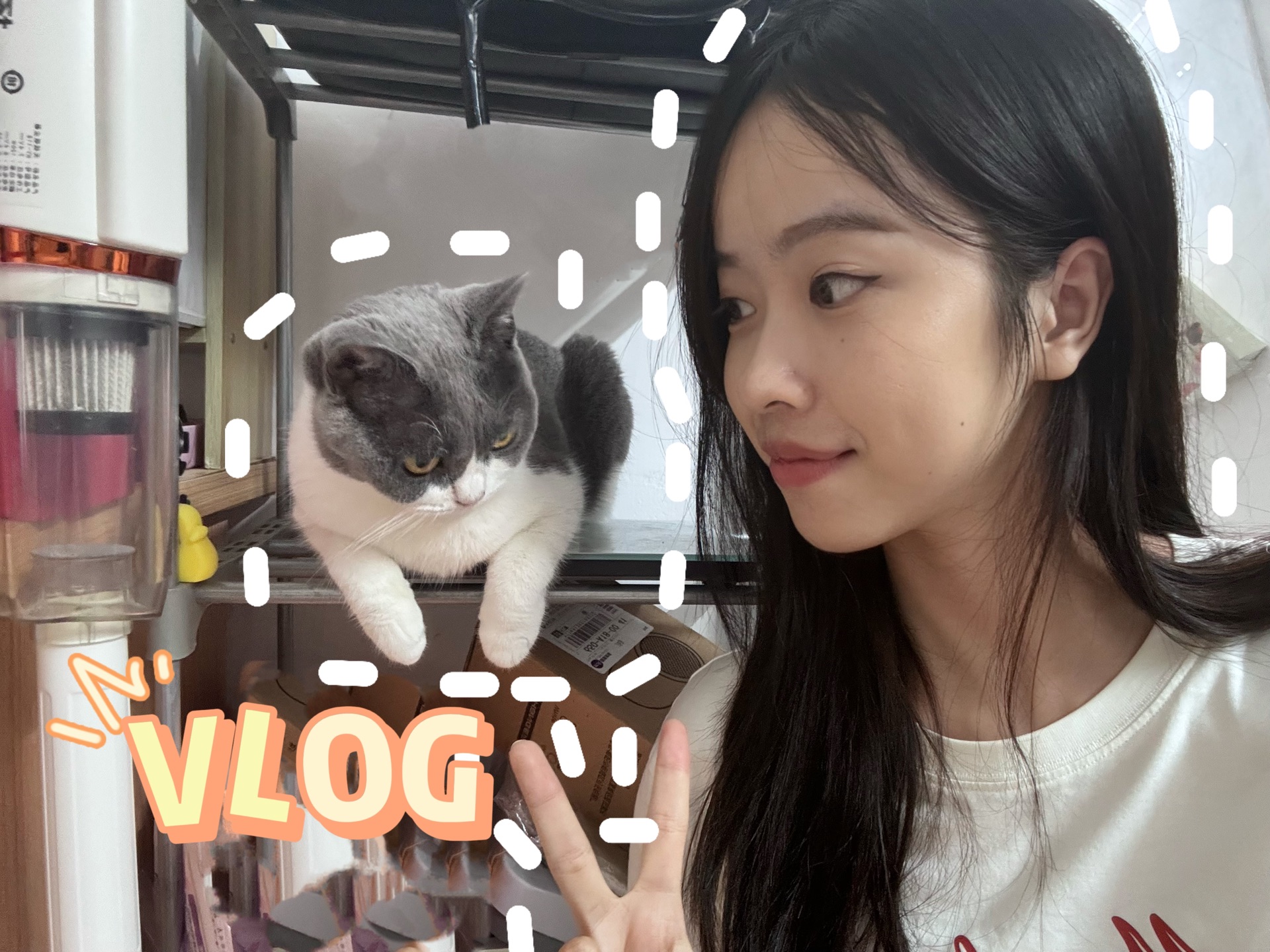 VLOG 电子榨菜/宅家日记/上网课/撸猫/听一万遍反方向的钟可以回到国庆假期第一天吗哔哩哔哩bilibili