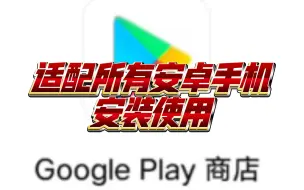 Download Video: 手机安装googleplay