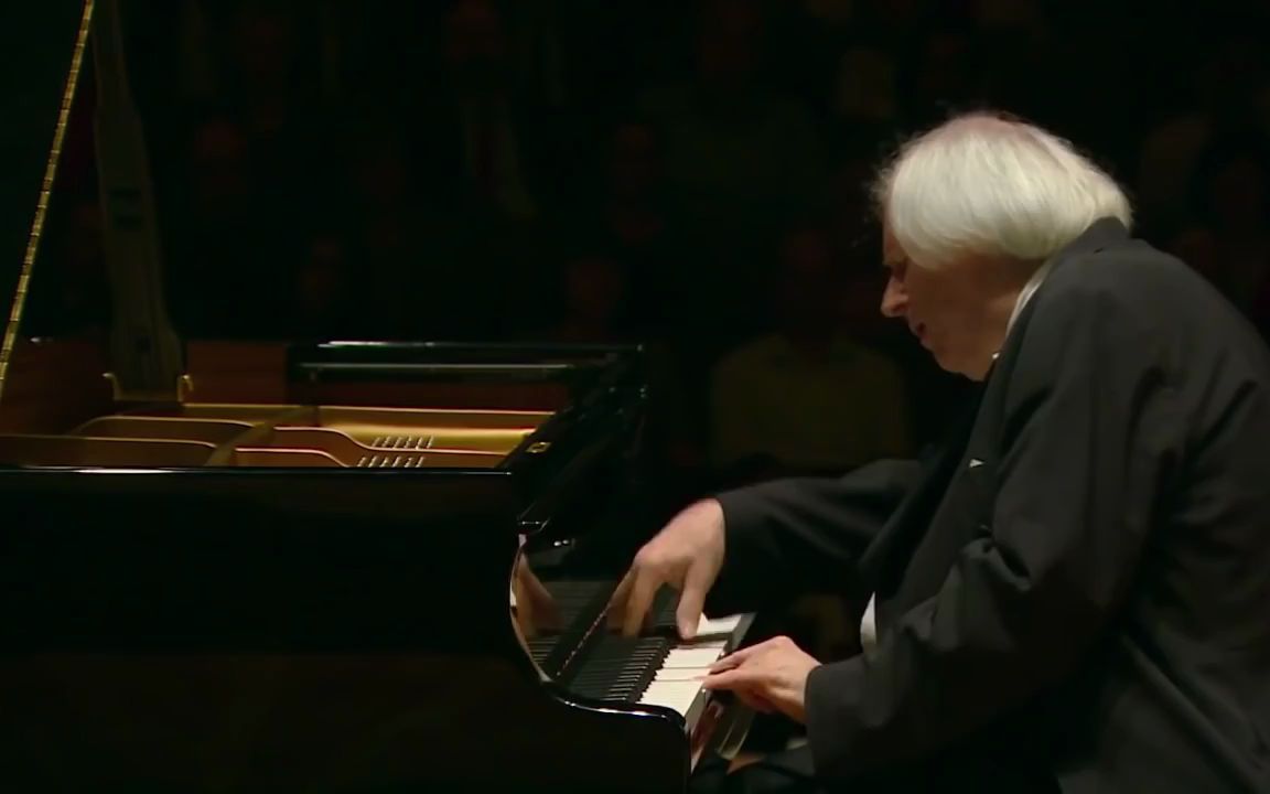 [图]【索科洛夫】Sokolov plays Schubert, Beethoven, Rameau and Brahms