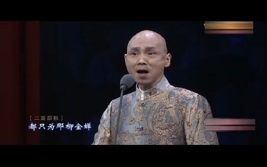 京剧探阴山选段扶大宋锦华夷赤心肝胆