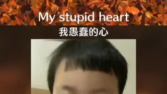 Скачать видео: 三岁小女孩随性唱起英文歌《My Stupid Heart》