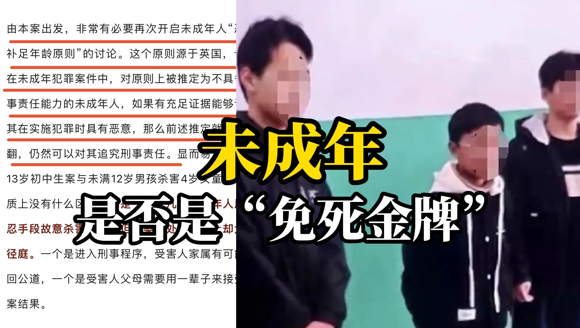 央视网评:刑法对未成年人恶性犯罪追究刑责的规定十分机械 罗翔谈 “恶意补足年龄原则”哔哩哔哩bilibili