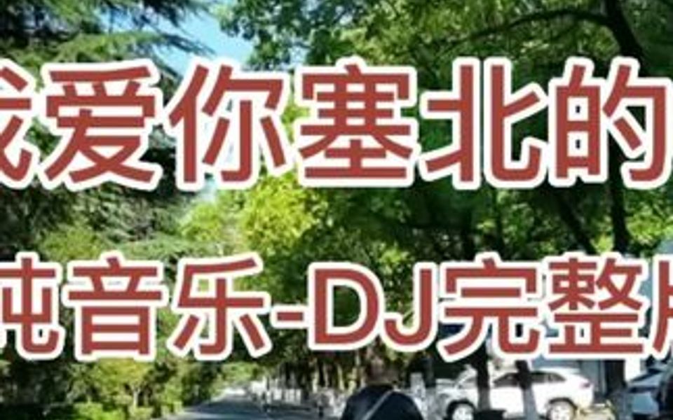 [图]经典老歌《我爱你塞北的雪》电子琴纯音乐DJ完整版。