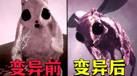 笨尼尼子 的动态-哔哩哔哩