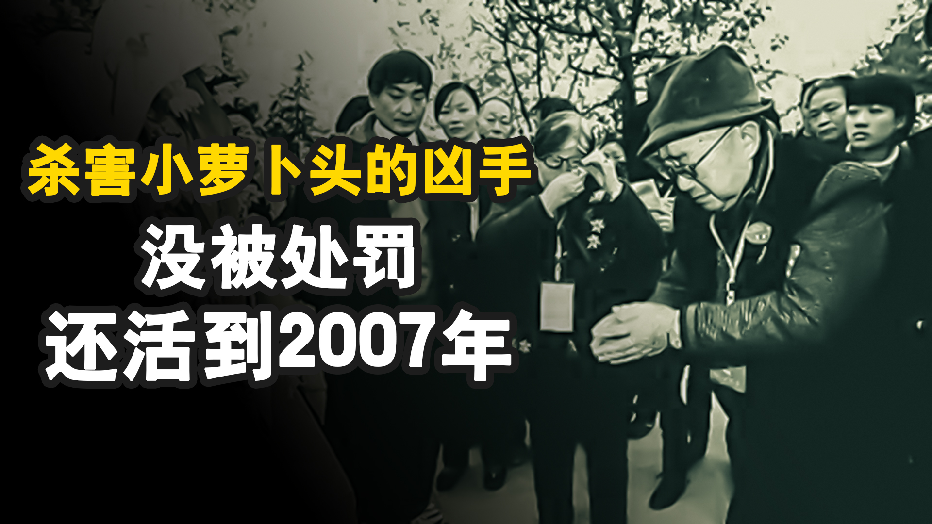 杀害小萝卜头的刽子手杨钦典,不仅没被枪决,还活到2007年才去世哔哩哔哩bilibili