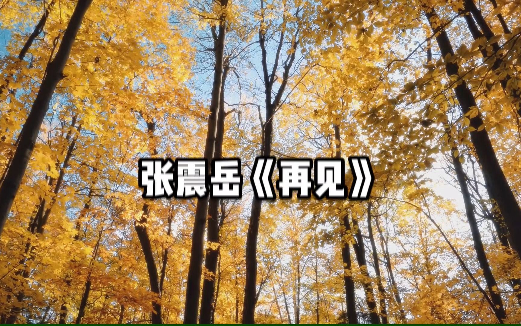 [图]【无损音质】4K 张震岳《再见》最好听的版本！