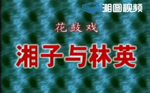 【奶奶爱看的戏】湖南花鼓戏《湘子与林英》全本哔哩哔哩bilibili