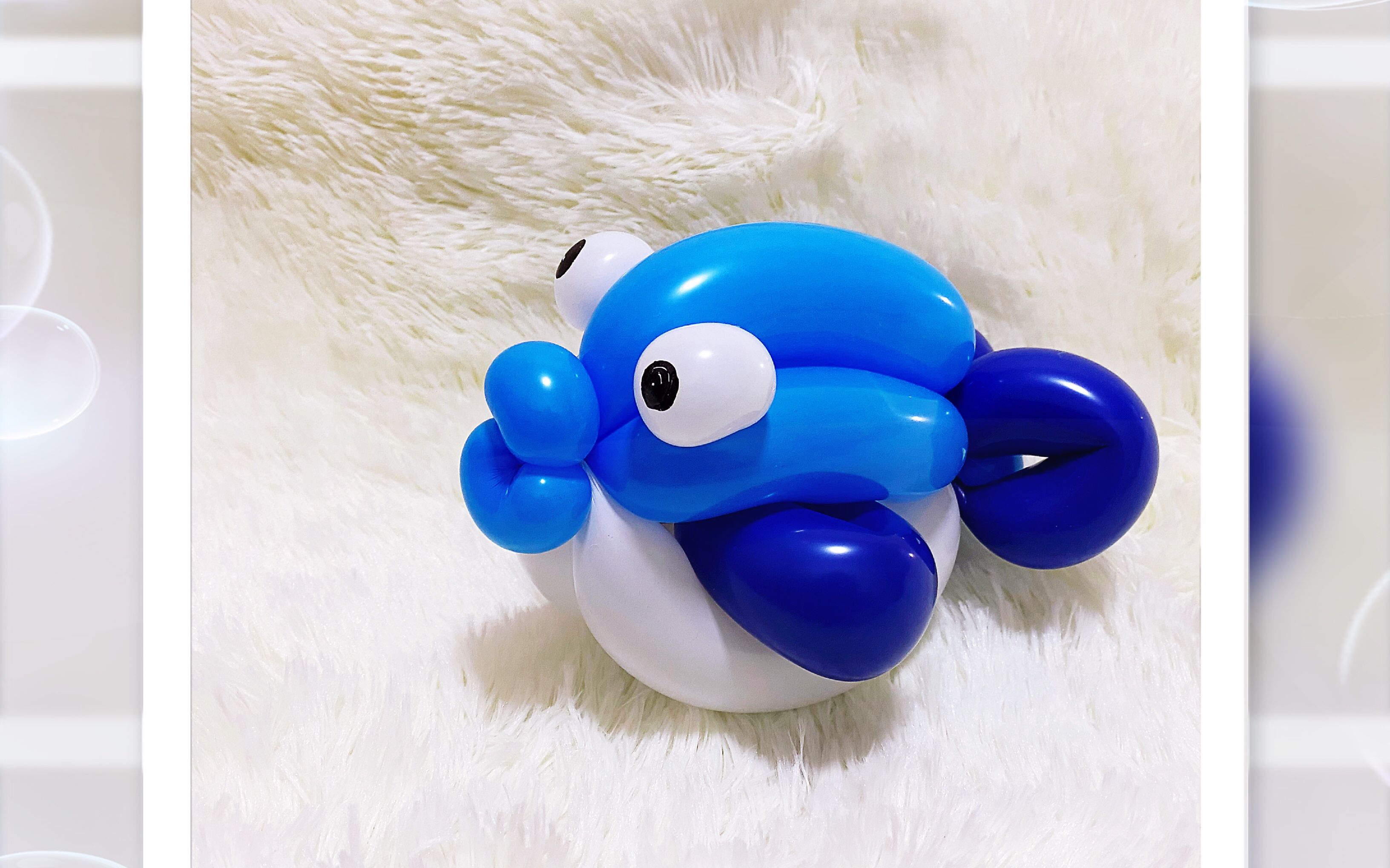 260气球小鱼_哔哩哔哩_bilibili