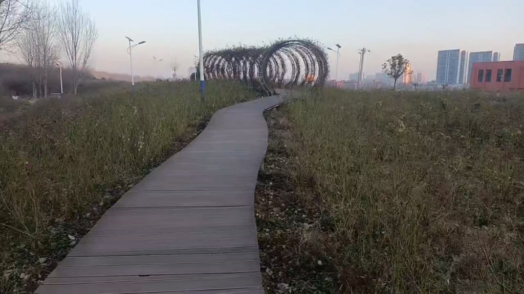 咸阳兴平地区最大的生态公园莽山公园