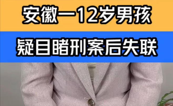 安徽一12岁男孩疑目睹刑案后失联 当地回应已寻找3天无果 ＂安徽一12岁男孩失联已超3天 ＂安徽宿州砀山县赵屯镇12岁男孩失踪至今未归 ＂哔哩哔哩...