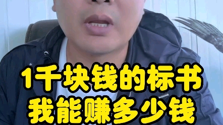 一千块钱的标书我能赚多少钱哔哩哔哩bilibili