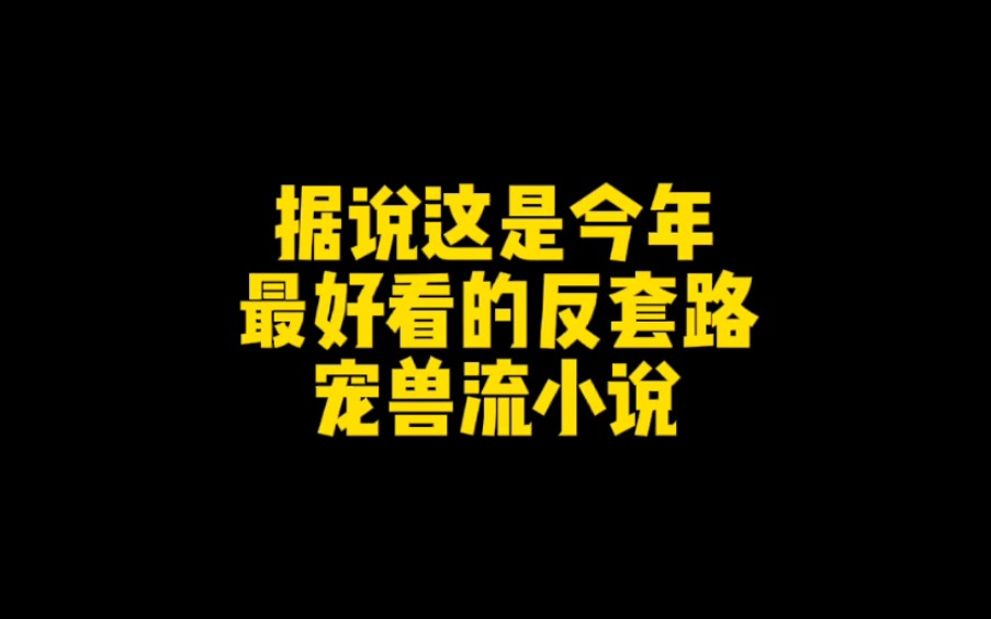 据说这是今年最好看的宠兽流小说,你认可吗哔哩哔哩bilibili