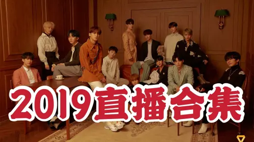 【中字】SEVENTEEN 2019直播合集（更新至191009 演唱会后全团直播）
