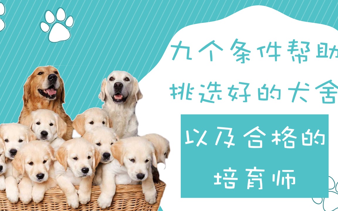 [图]犬舍挑选，九个条件帮助你挑选好的犬舍以及合格的培育师，买狗前的必要功课