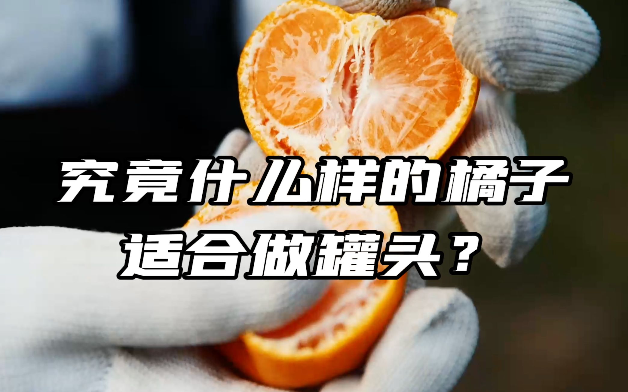 水果加工揭秘!究竟啥样的橘子适合做成罐头?哔哩哔哩bilibili