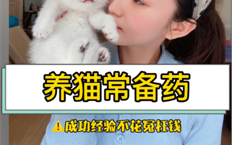 猫鼻支如何治疗哔哩哔哩bilibili