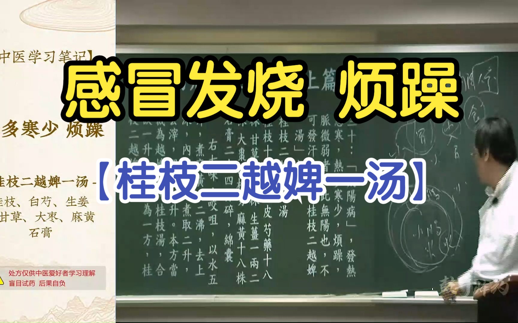 8 发热恶寒 热多寒少 烦躁(桂枝二越婢一汤)【倪海厦伤寒论】哔哩哔哩bilibili