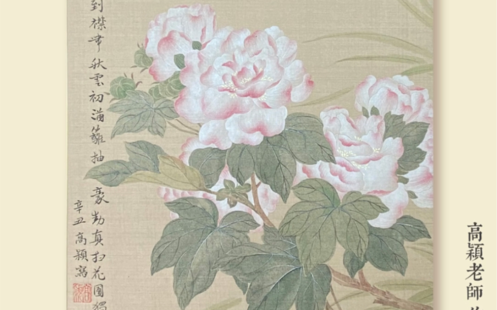 [图]中国画—芙蓉花的没骨画法