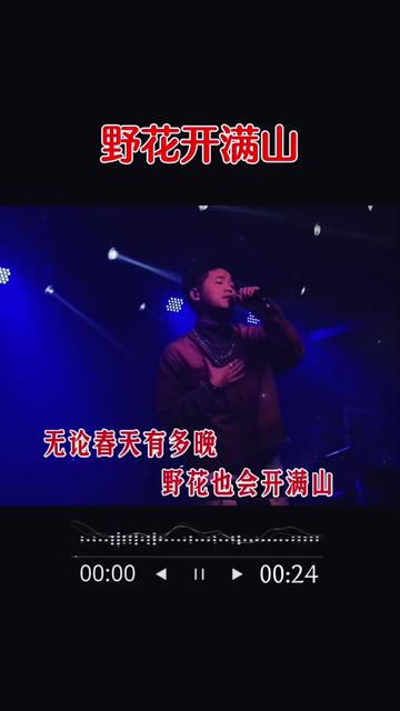 [图]#车载音乐 #野花开满山 #dj