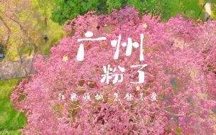 Download Video: 【花城航拍】广州的秋天是粉红色的