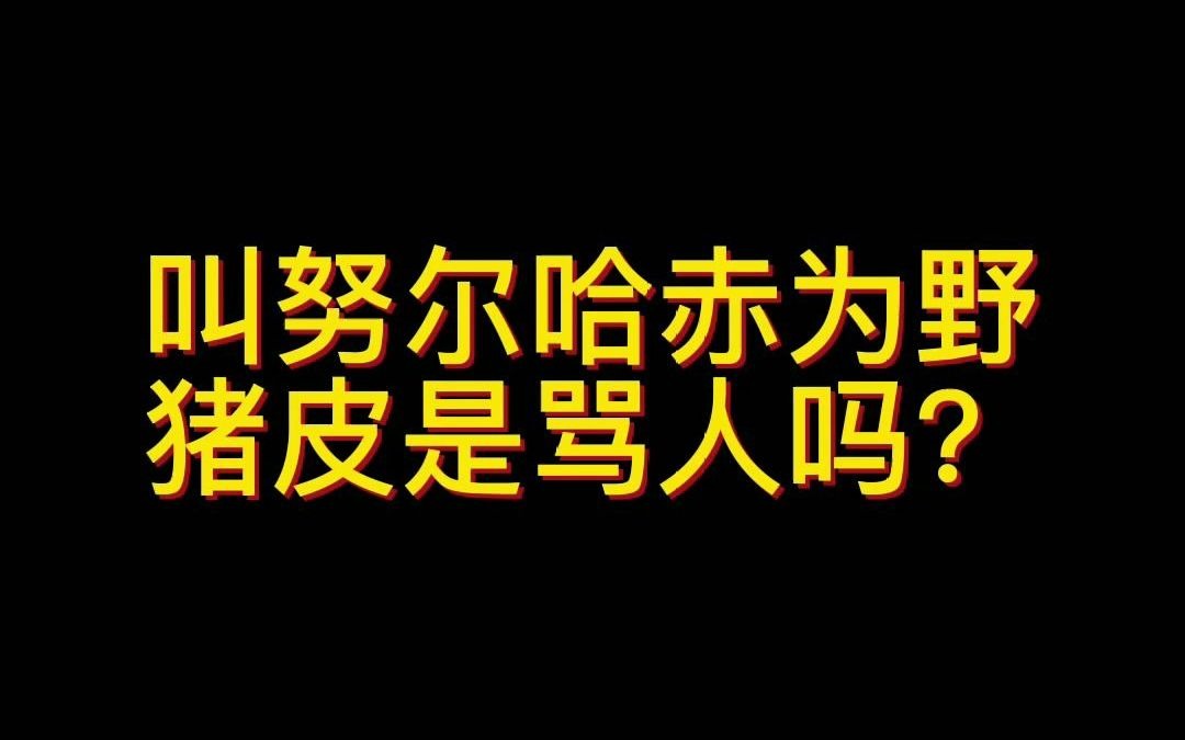 叫努尔哈赤为野猪皮是骂人吗?哔哩哔哩bilibili