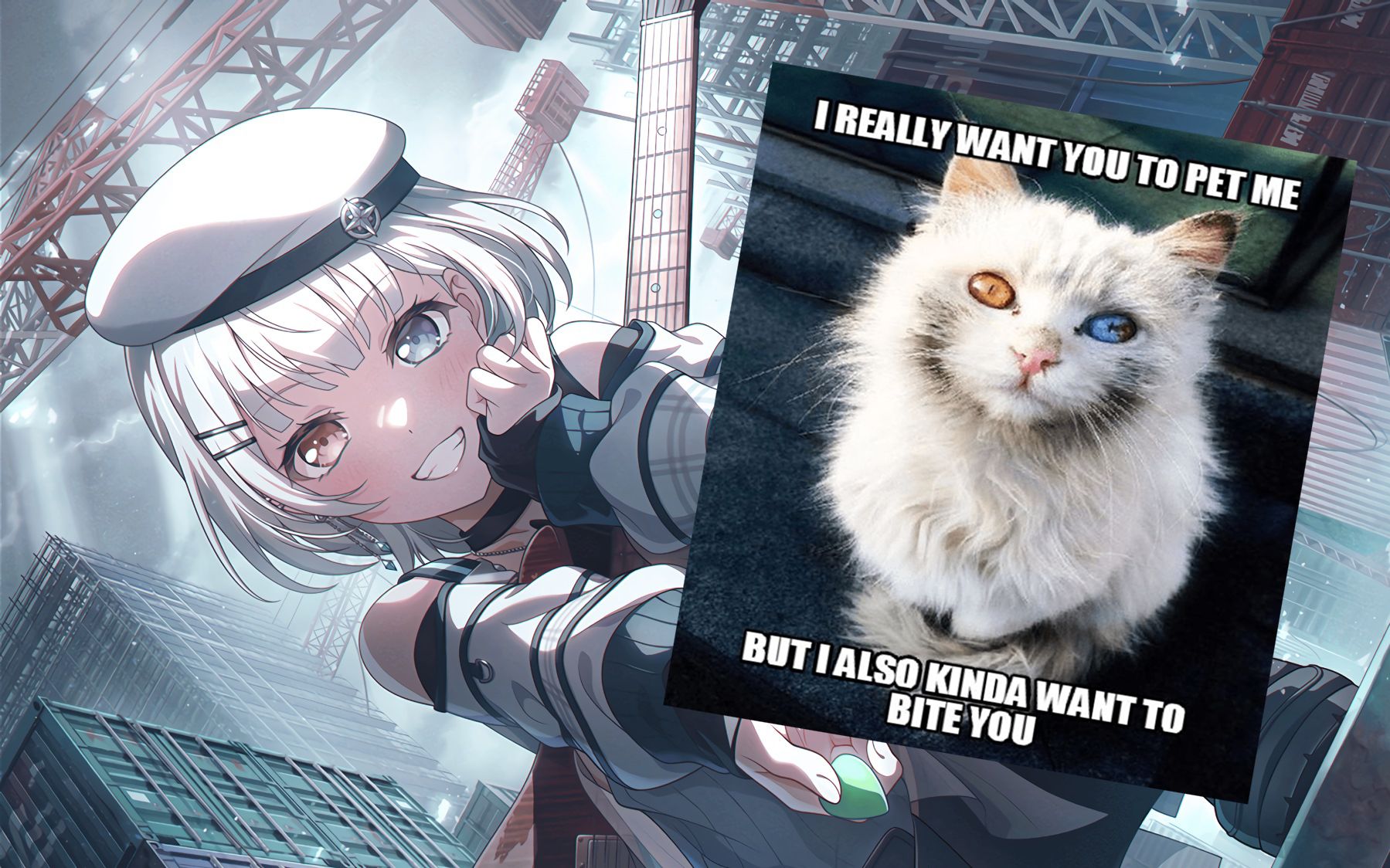 【熟肉】07要乐奈卡面剧情前后全07【コインパーキングの猫