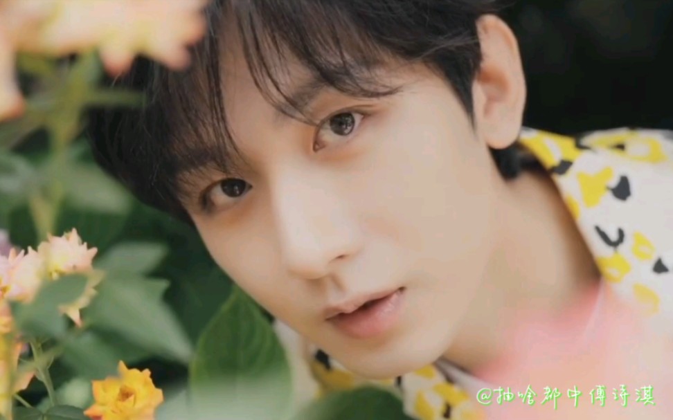 【成毅】是什么可爱小帅哥
