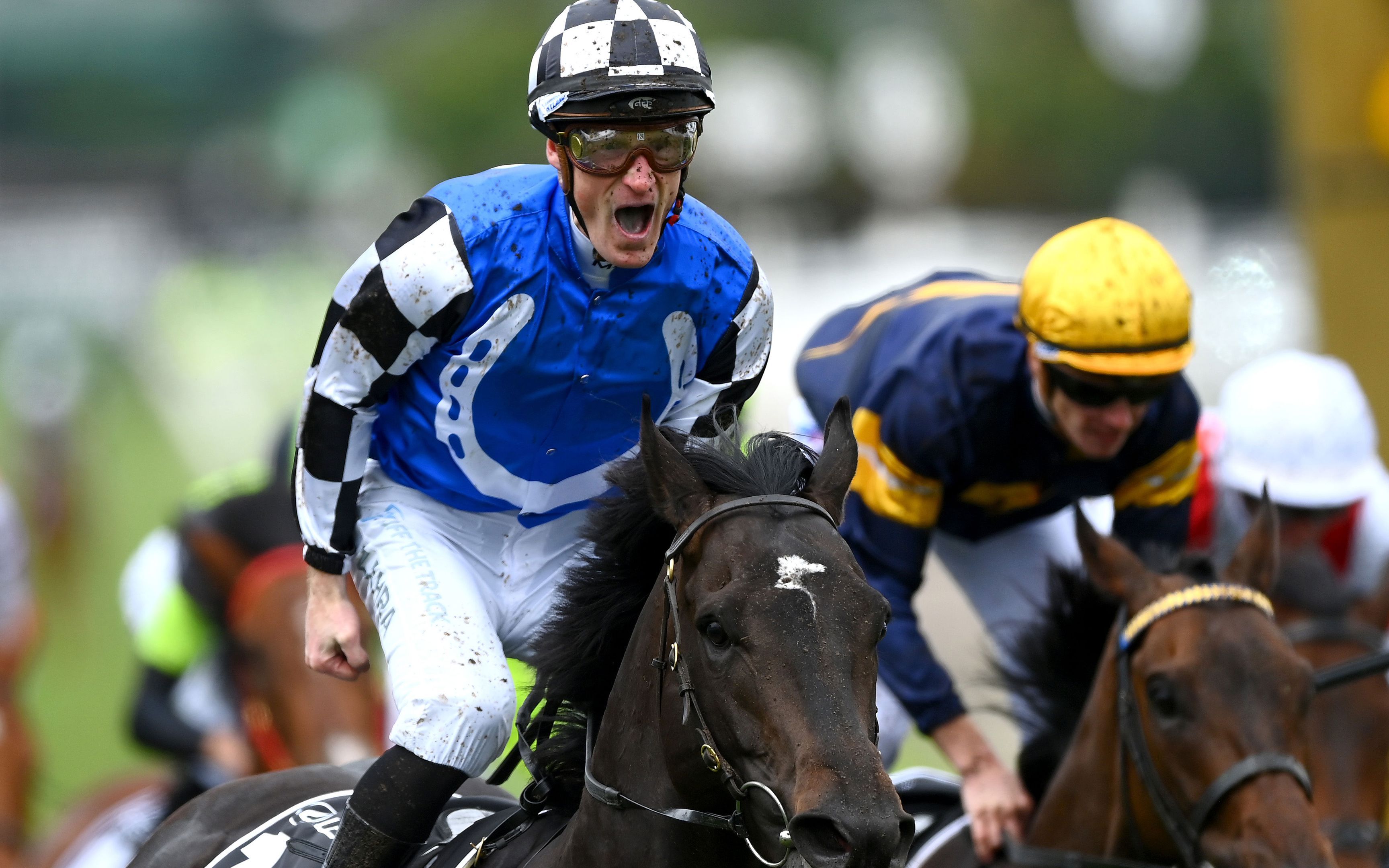 世界的黄金旅程,闪耀之刻!