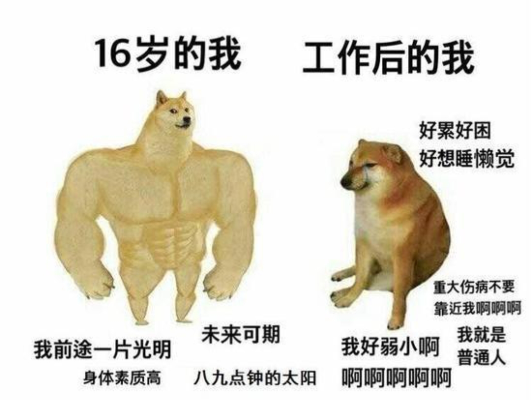 [图]《人间真实沙雕meme梗图》5