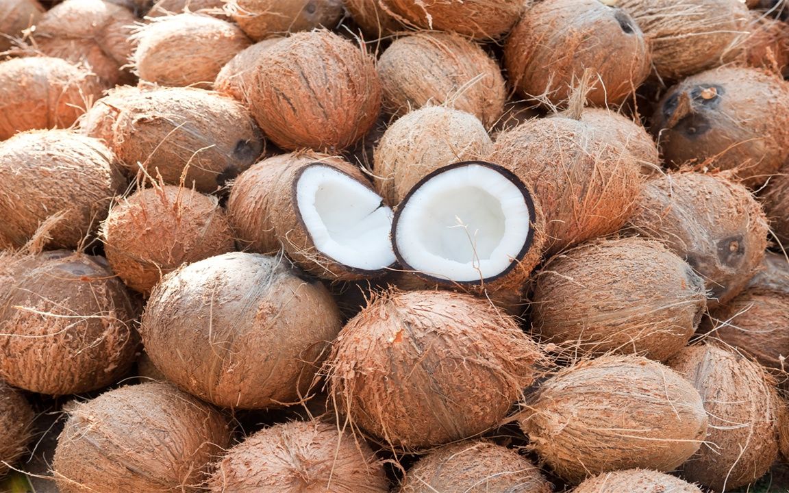 印度人大量收集椰子壳?如何才能变废为宝?看完涨知识了